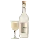 Pisco