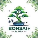 Bonsai Plus+
