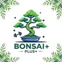 Bonsai Plus+