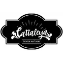 Cattaleya