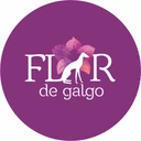 Flor De Galgo