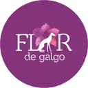 Flor De Galgo Market