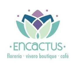 ENCACTUS.CL 9 NORTE 820 