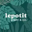Lepotit