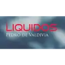 Liquidos Pedro De Valdivia