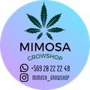 Mimosa Growshop