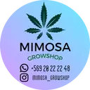 Mimosa Growshop