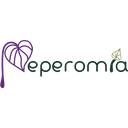 Peperomia - Diseño & Studio Floral