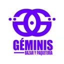 GEMINIS BAZAR Y PAQUETERIA SPA
