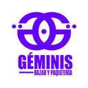 GEMINIS BAZAR Y PAQUETERIA SPA
