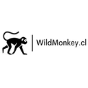 Wild Monkey