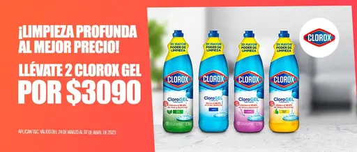 [REVENUE]-B10-lider-clorox|GM-57878|645