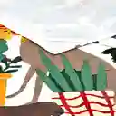 Paño de Cocina de Algodón Con Textura 70 cm