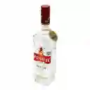 Wembley Gin Dry 40° Botella