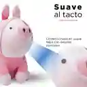 Miniso Peluche