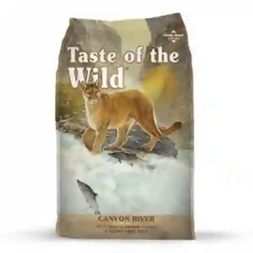 Taste of The Wild Alimento Seco