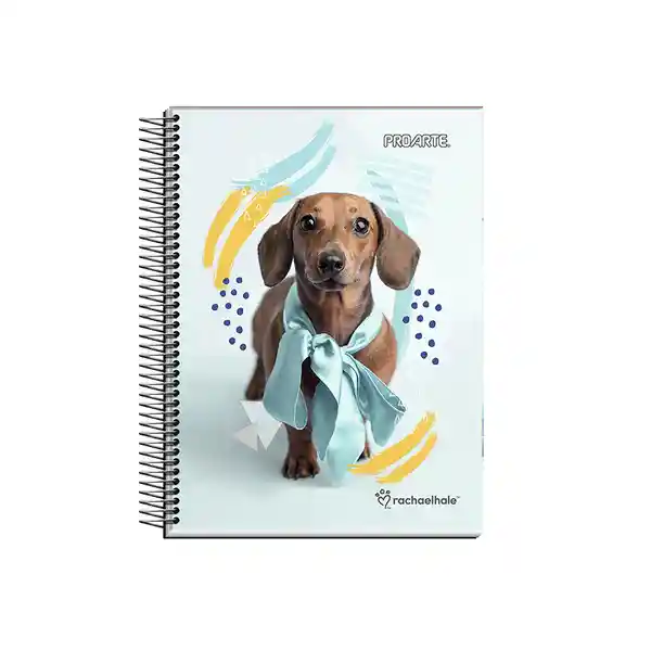 Proarte Cuaderno Libesa 150 Hojas Surtido