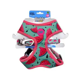 Buddy Pet Set Arnés Pechera y Correa S