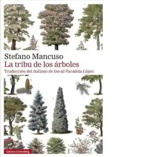 La Tribu de Los Árboles - Mancuso Stefano