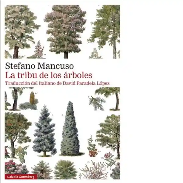 La Tribu de Los Árboles - Mancuso Stefano