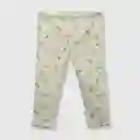 Pantalón Elasticada Bebé Niña Pistaccio Talla 12M Colloky