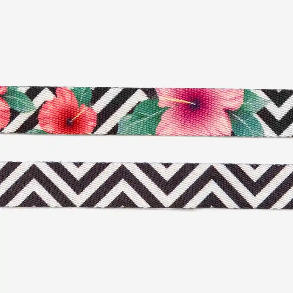 Zee.Dog Collar Canino Mahalo Extra Small