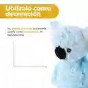 Peluche Osos Koala Miniso