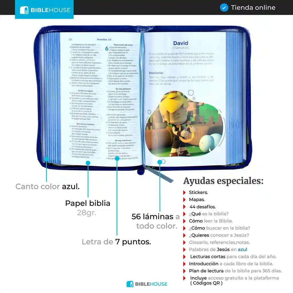 Biblia se un Heroe Azul