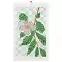 Paño Cocina de Algodón Velour Estampado Planta Casaideas