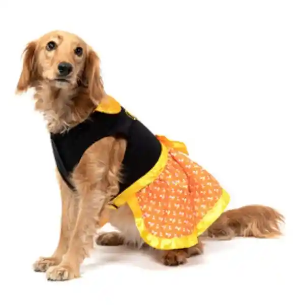 Bootique Vestido  Perro Candy Corn X-Chico