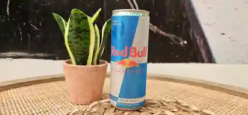 Red Bull Sugar Free