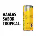 Red Bull Bebida Energética Yellow Sabor Tropical