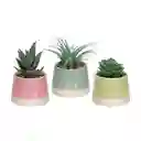 Maceta Dos Tonos Con Cactus Rosado 13 cm