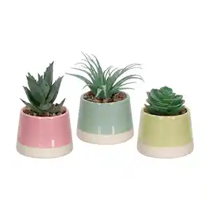 Maceta Dos Tonos Con Cactus Rosado 13 cm