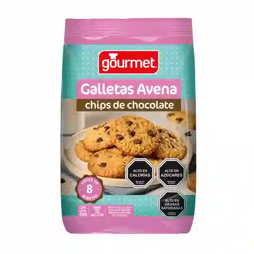 Gourmet Premezcla Galleta Avena Chips