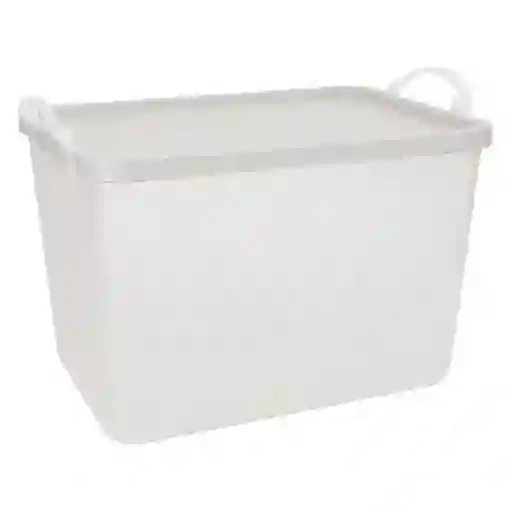 Caja Plástica Con Tapa 16 L