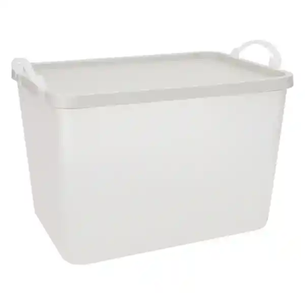 Caja Plástica Con Tapa 16 L