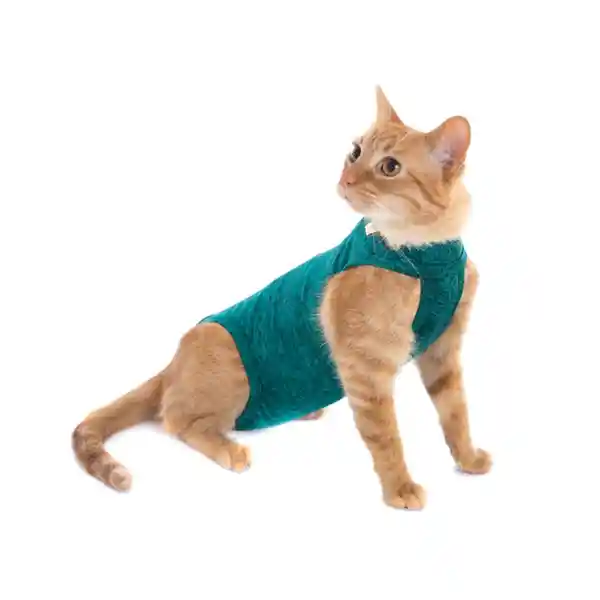 Petmed Body Quirúrgico Gato Verde Talla 02