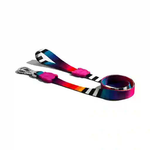 Zeedog Correa Prisma Large