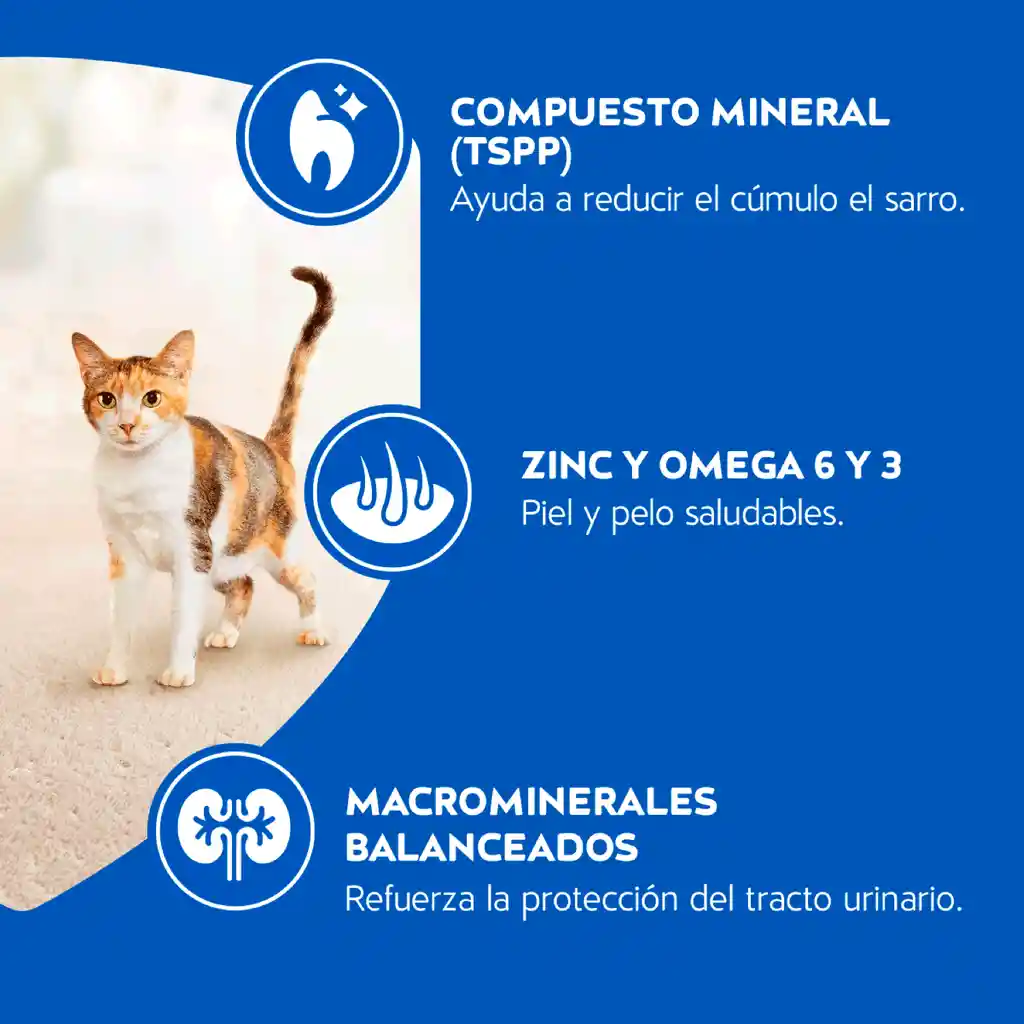Cat Chow Alimento Gato Delimix 8 Kg