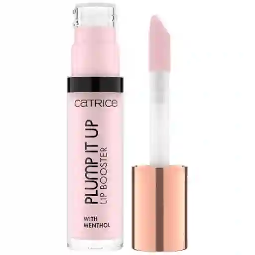 Catrice Labial Lip Booster Plump It up No Fake Love N020