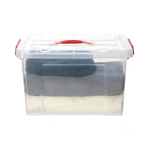 Caja Plástica Con Tapa 20 L 3226119000022