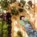 Delantal Para Jardín Casaideas