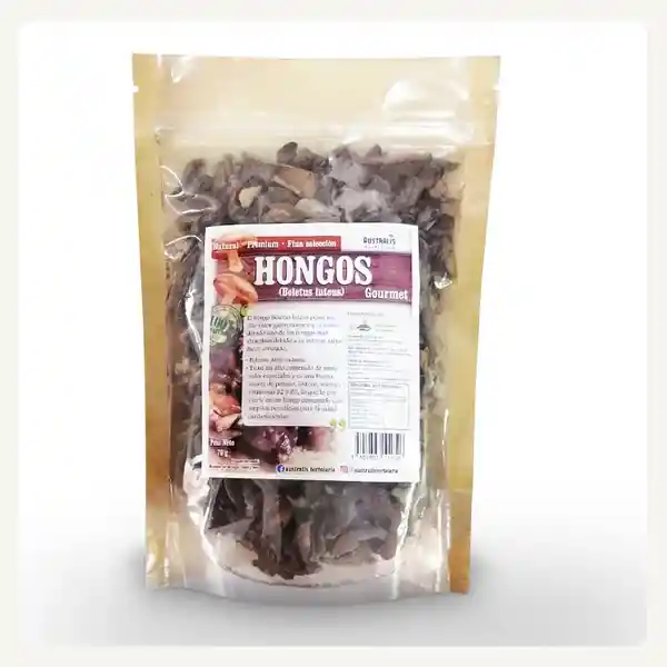 Hongos de Pino