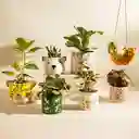 Maceta de Cerámica Cabeza Animal 19 x 17 cm