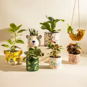 Maceta de Cerámica Cabeza Animal 19 x 17 cm