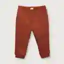 Pantalón Buzo de Niño de Buzo Naranjo Talla 18M Opaline