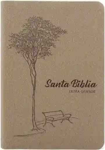 Biblia Rvro65Clg Letra Grande Café - Sociedad Biblica Chilena