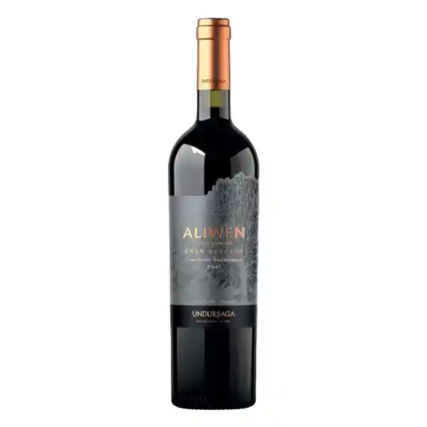 Vino Undurraga Aliwen C Sauv