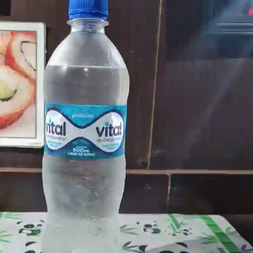 Agua Vital con Gas 600 ml